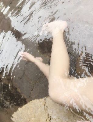 花蝴蝶免费版大全多少集_HD在线播放观看